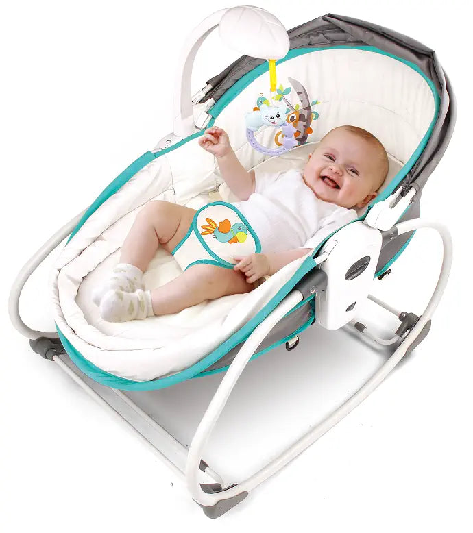 5 in 1 Rocker Bassinet
