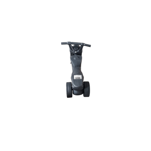 Push Scooter Small