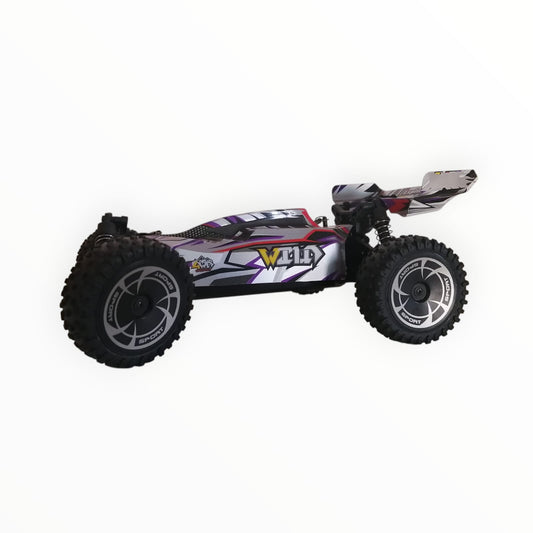 R/C 1/14 Buggy
