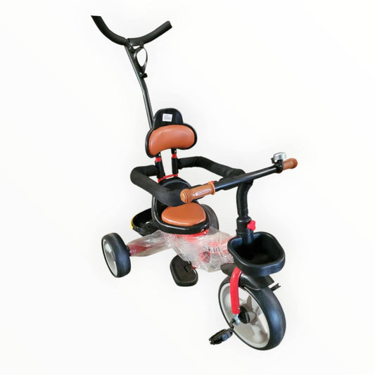 Push Tricycle
