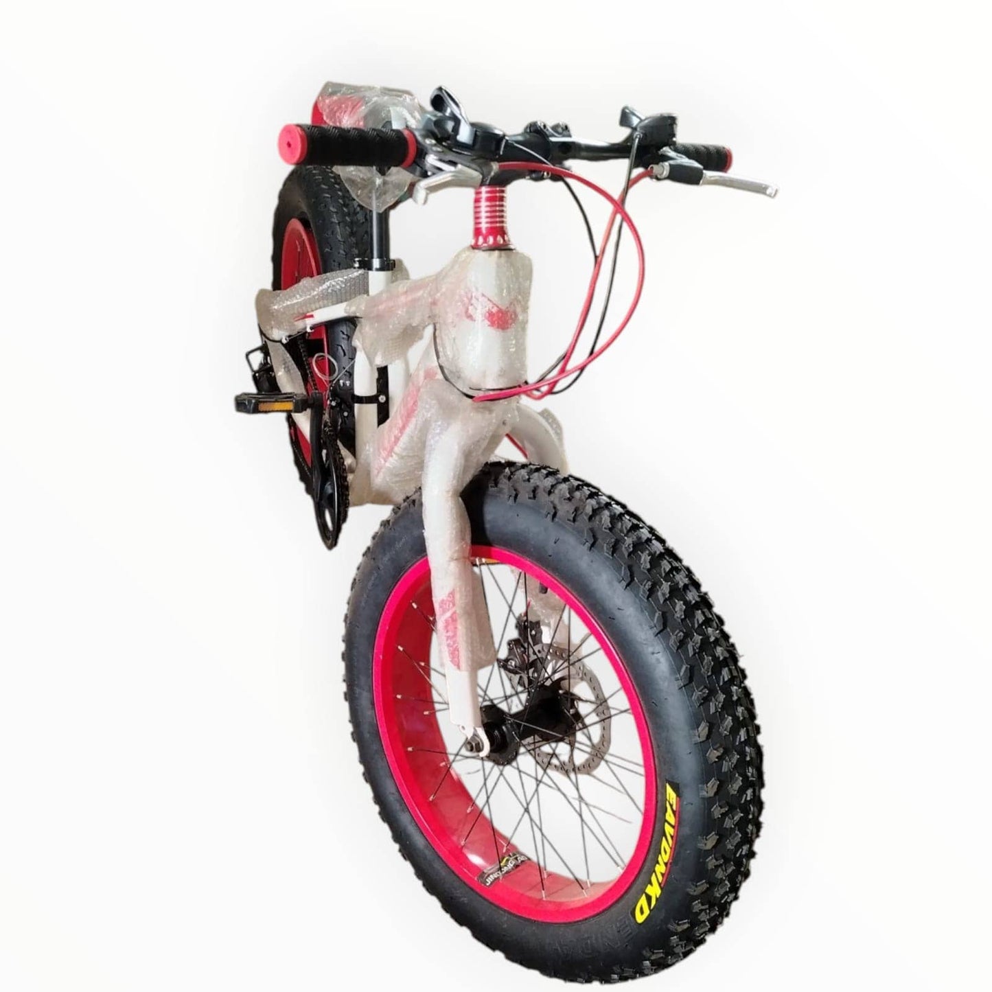 Bicycle 20 inch Fat Cycle